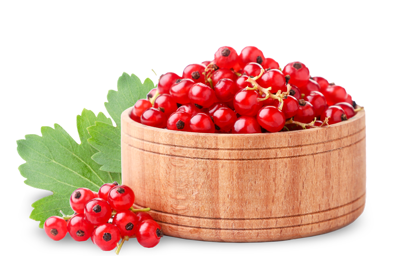 Red currants in a wooden plate