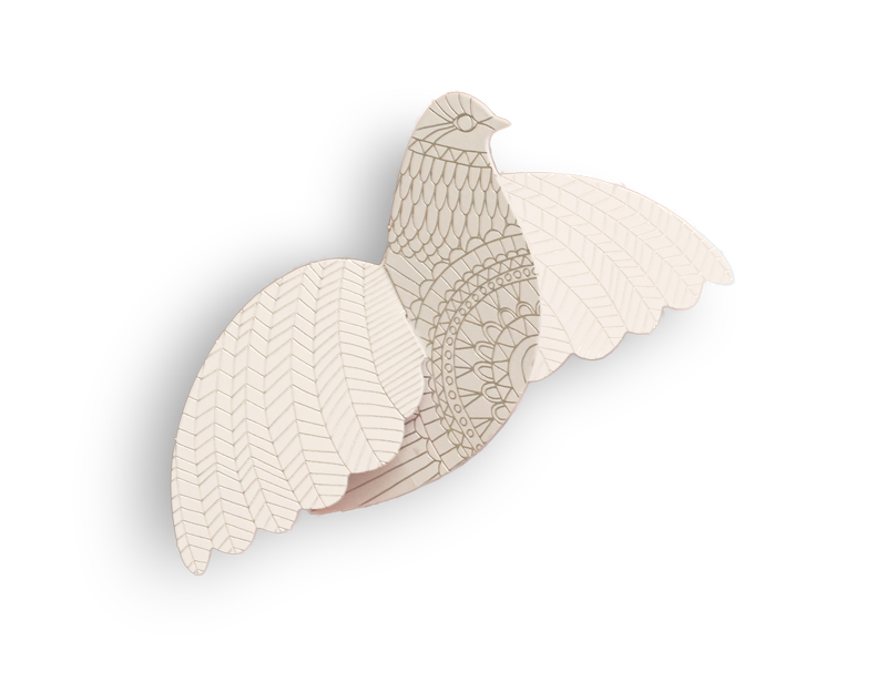 World peace white dove